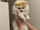 мое возвращение