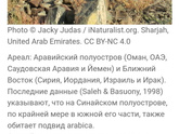 Часть 6. Чудеса природы и человека