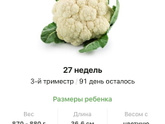 27 недель .