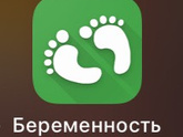 15 недель .