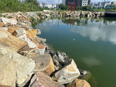 Черепашки
