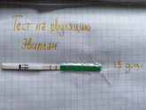 Овуляция сегодня или это спад все таки?