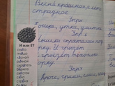 Занялись чистописанием