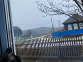 Подснежники