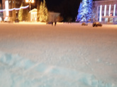 Городская елка