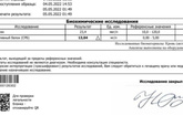 Повышен белок что означает