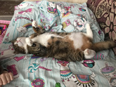 Не перестаю поражаться чутью