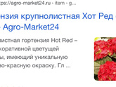 Доброй ночи.