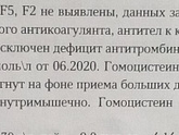 Гомоцестеин при беременности