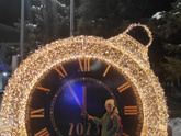 Главные ëлки разных городов.