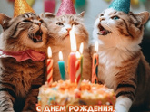 Для подруг