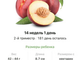 1️⃣4️⃣ недель ?.