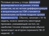 Девочки была на узи