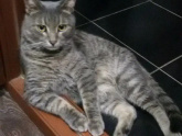 Котик мой🥰