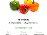 18 недель .