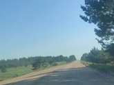 Поездка в деревню. Белый гриб.