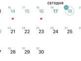 Сколько живут сперматозоиды?