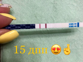 11 дпп сегодня .
