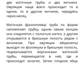 Перевязка труб