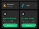 Девочки , подскажите название этого растения )