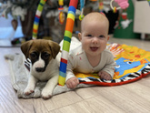 Наша Дынька 🐶