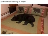 Кто лучше всех спрятался?