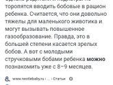 Когда начали давать фасоль