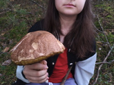 Вчера
