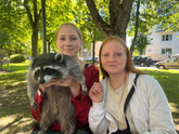 Медовый спас в Беларуси.