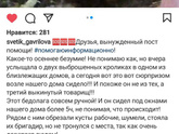Питомец и аллергик