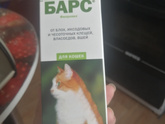Блохи в квартире.
