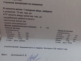 Была на узи, плодное