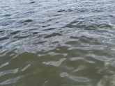 Море,моя любовь❤️