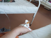 Лежу на сохранение, немного