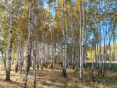 24 сентября