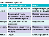Сейчас пошла в туалет