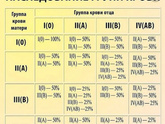 Группа крови , блин