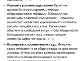 Куры склевывают яйца Что