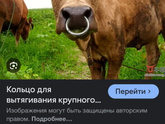 Левая женщина высказала свое фе