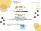 Элизе 3.3