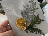 Флорист