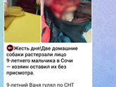 У нас травят собак бродячих