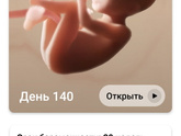 20 недель