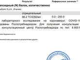 Вес