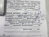 Желтое тело