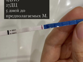 ТЕСТ 8ДПО
