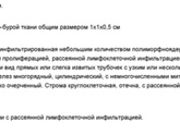 ГИСТОЛОГИЯ! ПОМОГИТЕ ПОНЯТЬ 🙏🏻