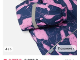 Лэсси на зиму