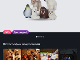 Набор фигурок животных