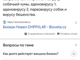 В этом году когда